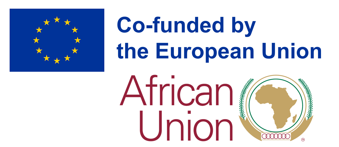 european union and african union